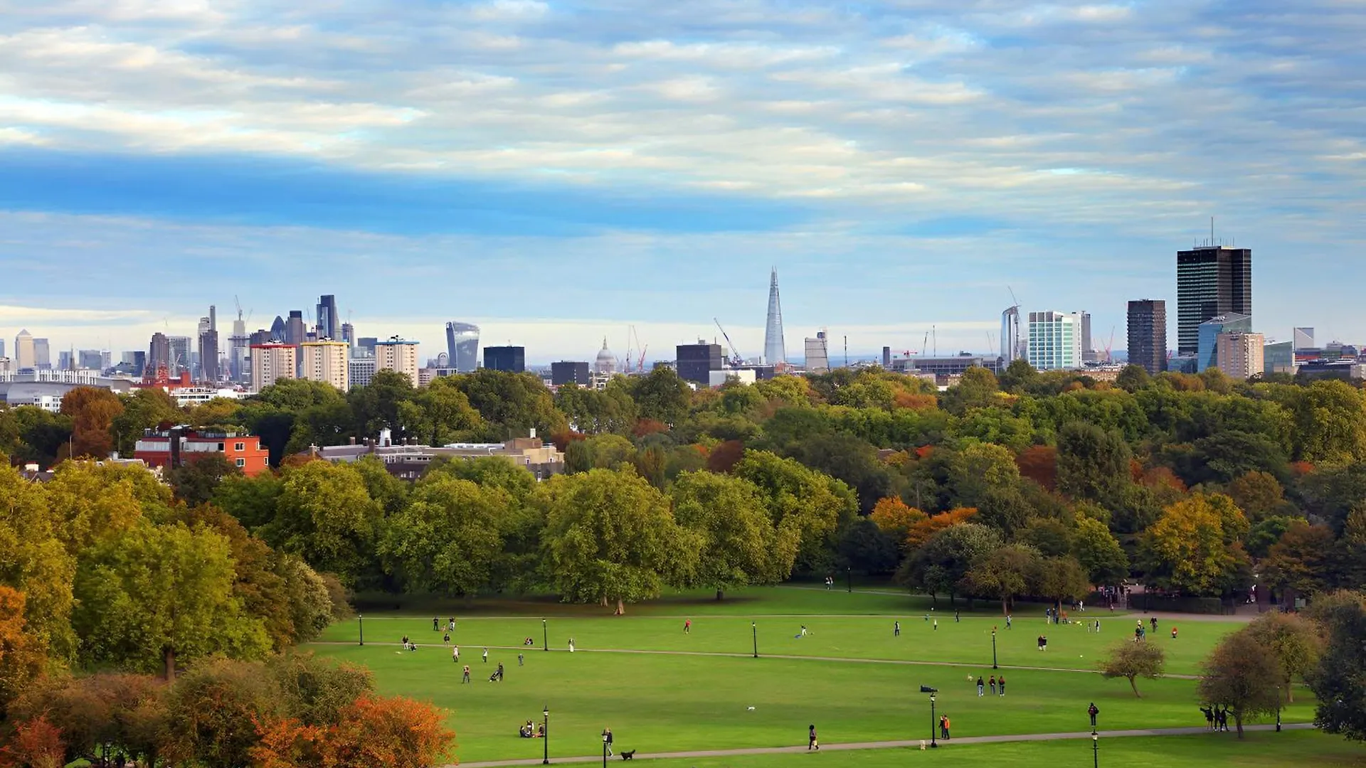 Urban Green Oasis Modern Minimalist Studio London